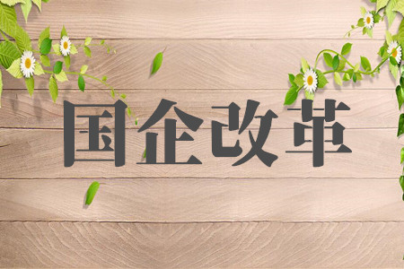 国资委邀企业和专家献策国企改革行动方案 五大特征或可预判国企改革未来时间表和路线图