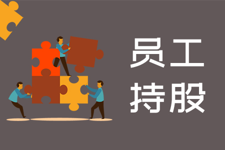 股权激励——员工持股平台模式分析