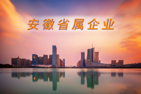 安徽省属企业经济效益实现“开门红”